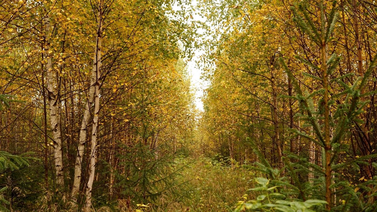Фото: © Татьяна Хакимулина