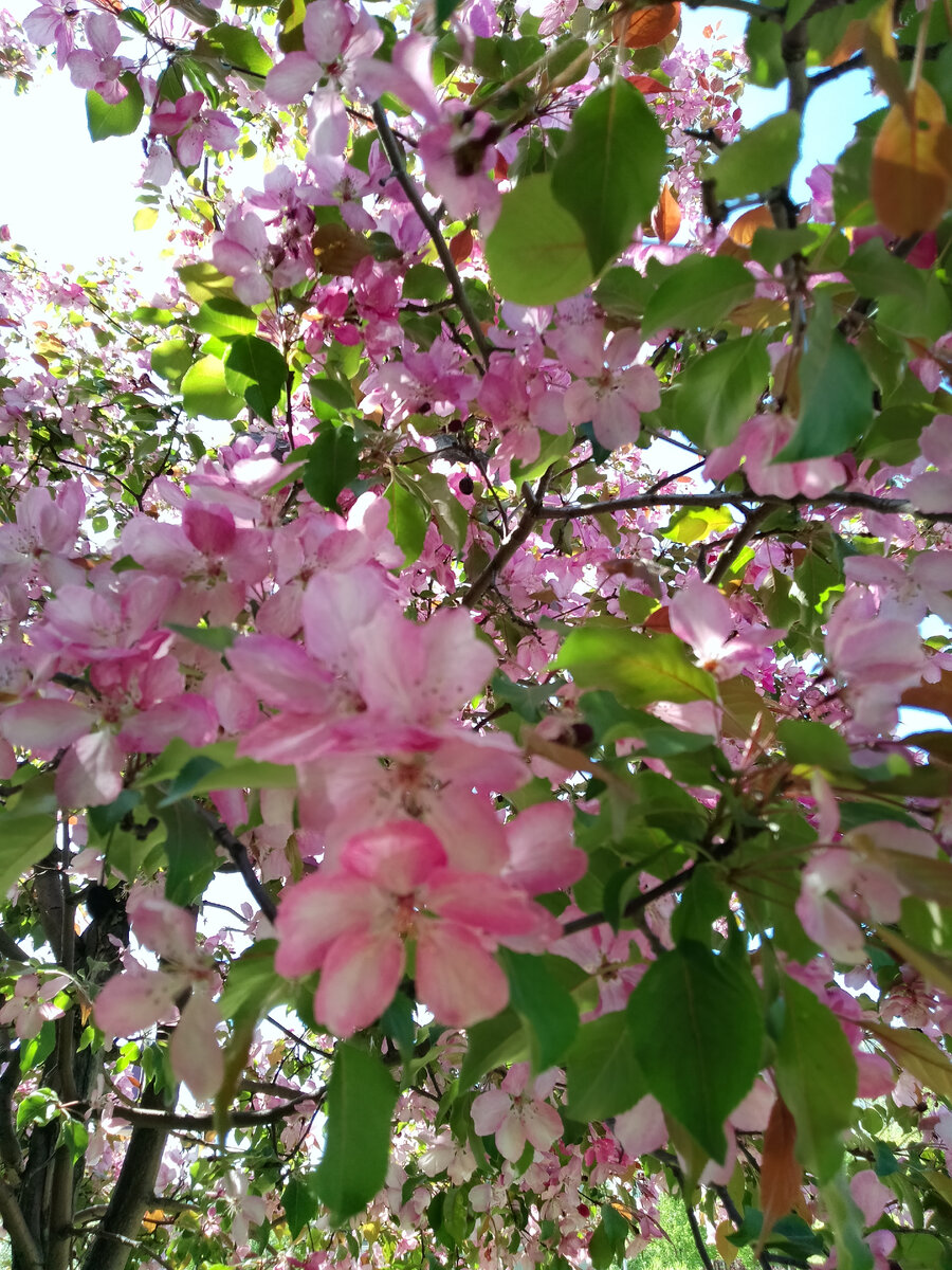 Просто фото к статье. Моя мама не публичный человек) 