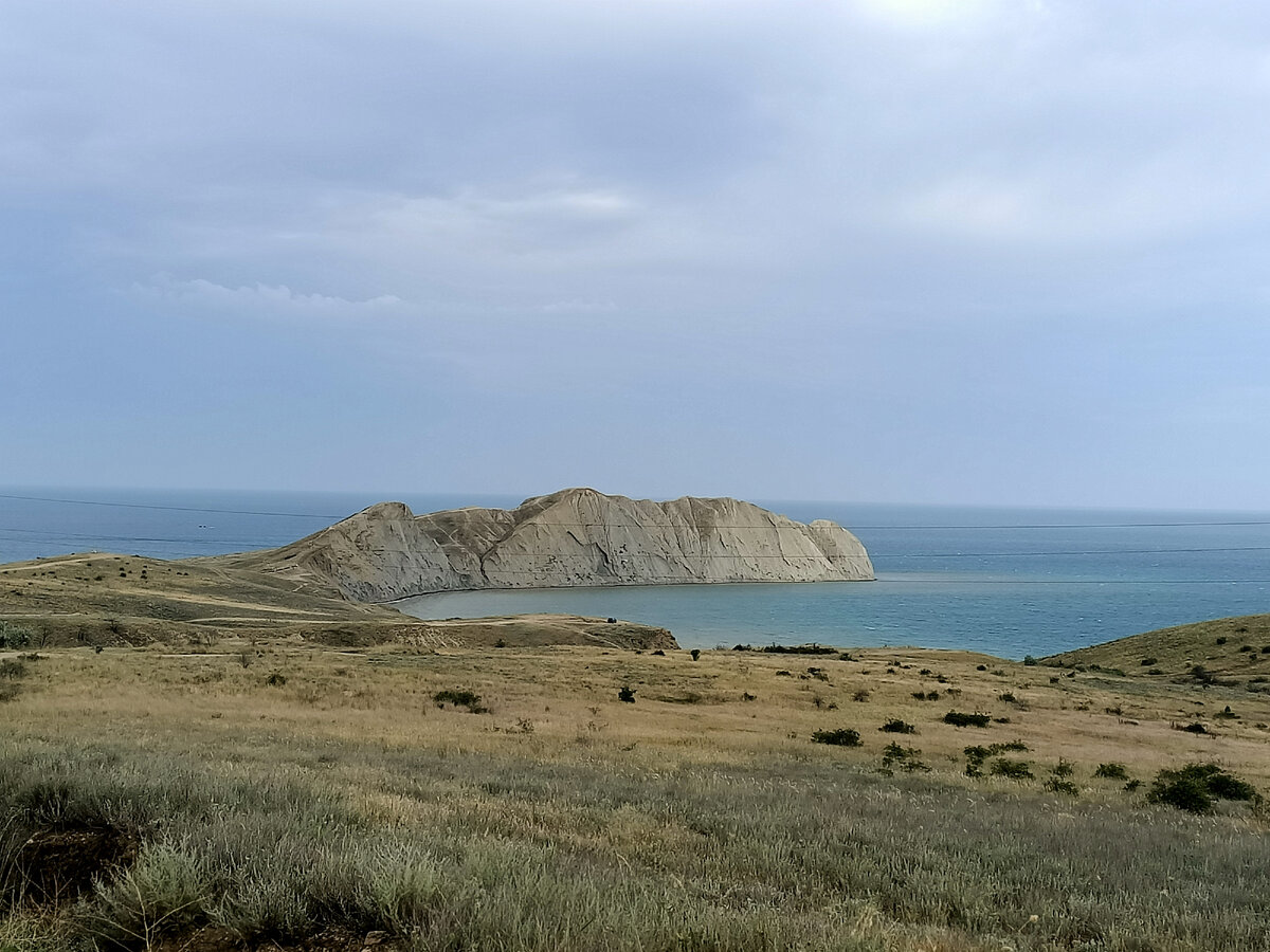 хамелеон гора коктебель
