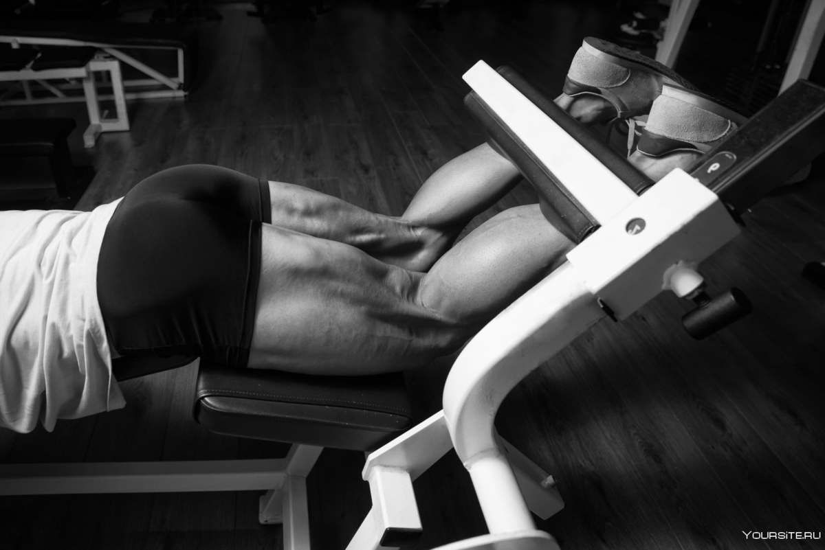 Источник фотографии: Яндекс картинки 

