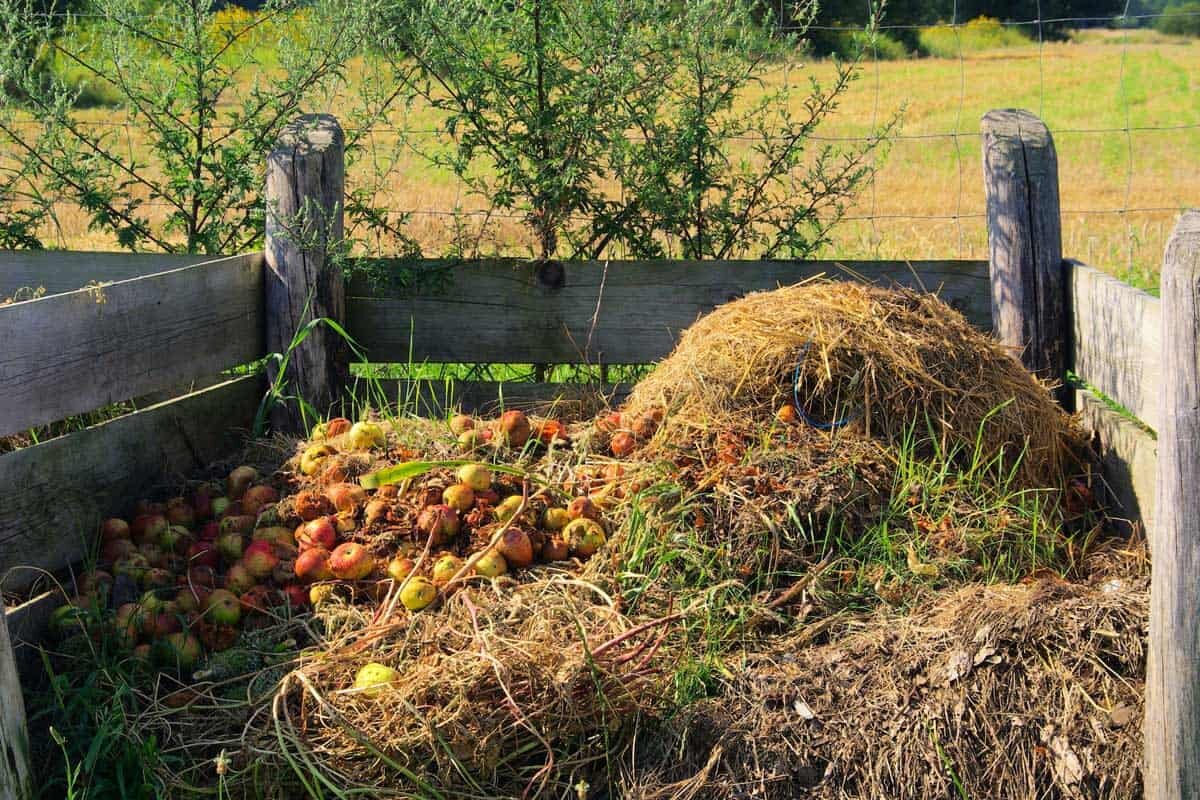 Фото garden.hozvo.ru