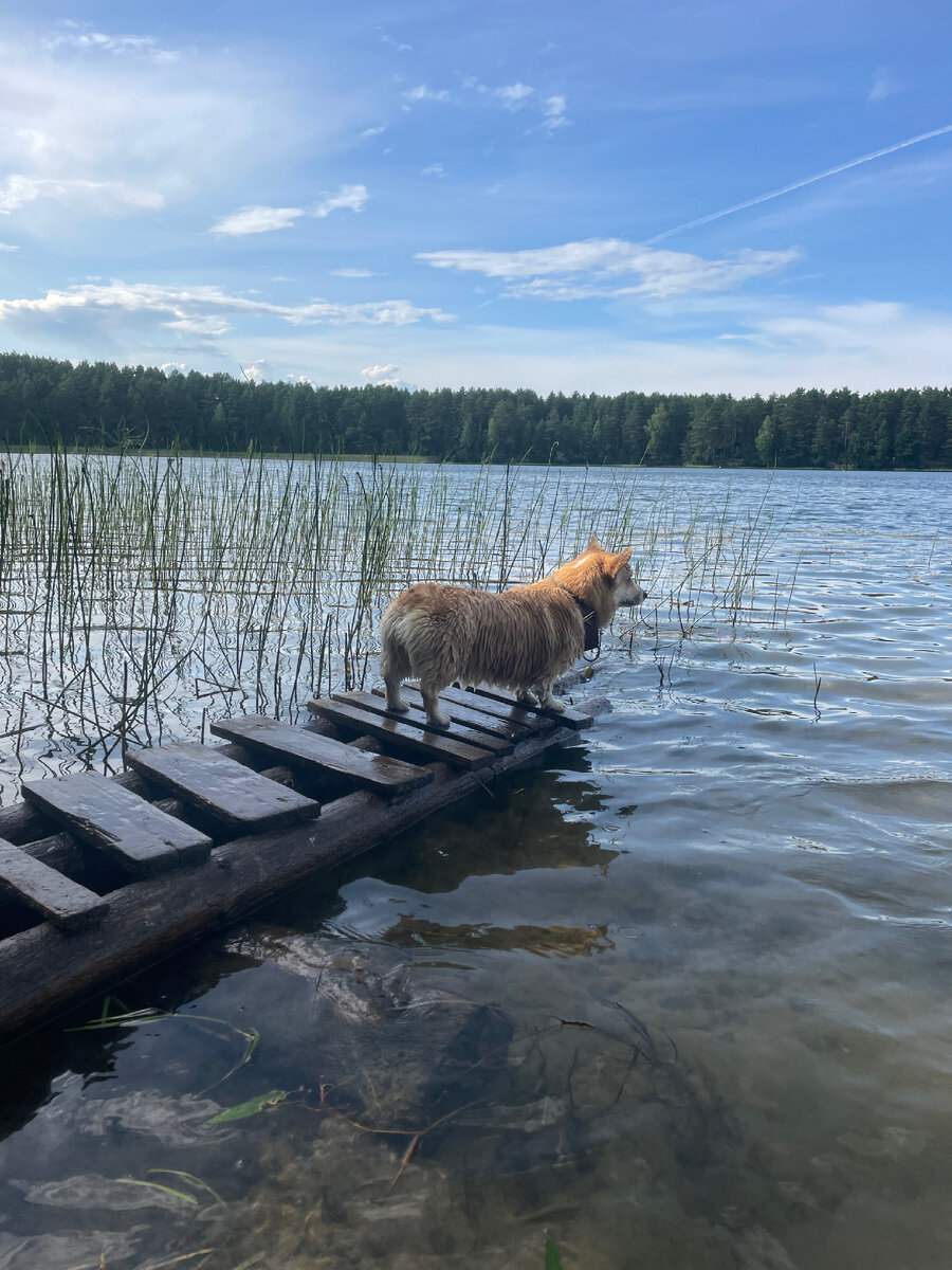 Вода в озере прозрачная, а песочек белый 😌