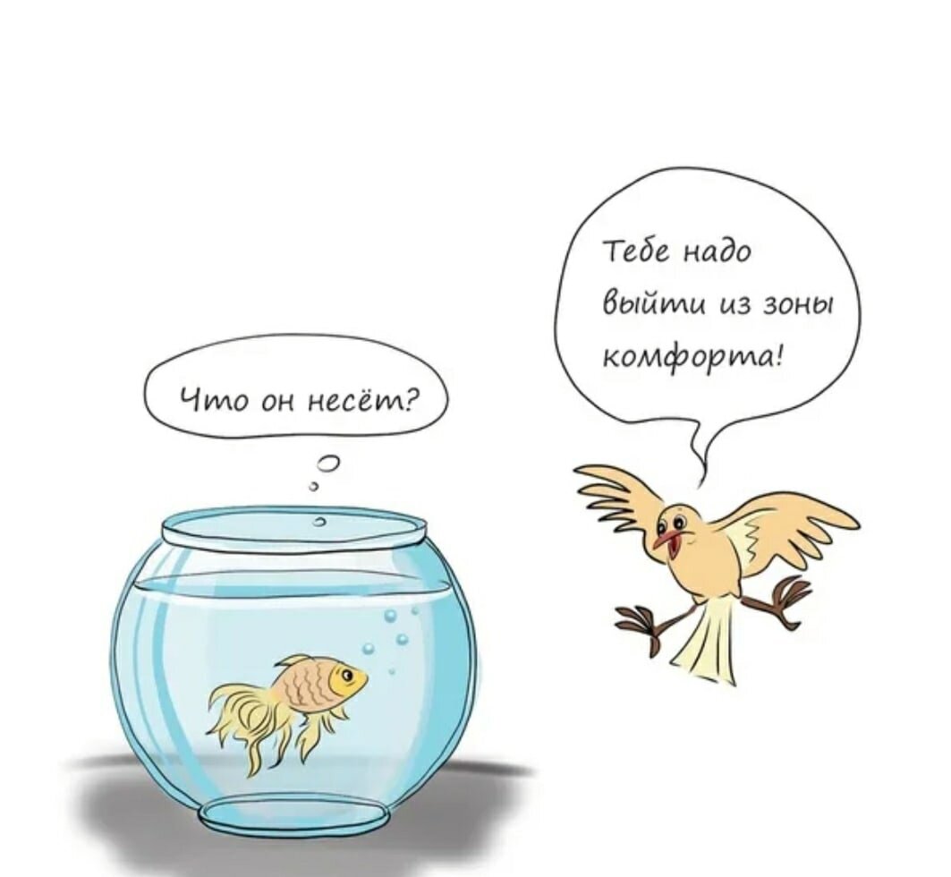 Источник фото: яндекс