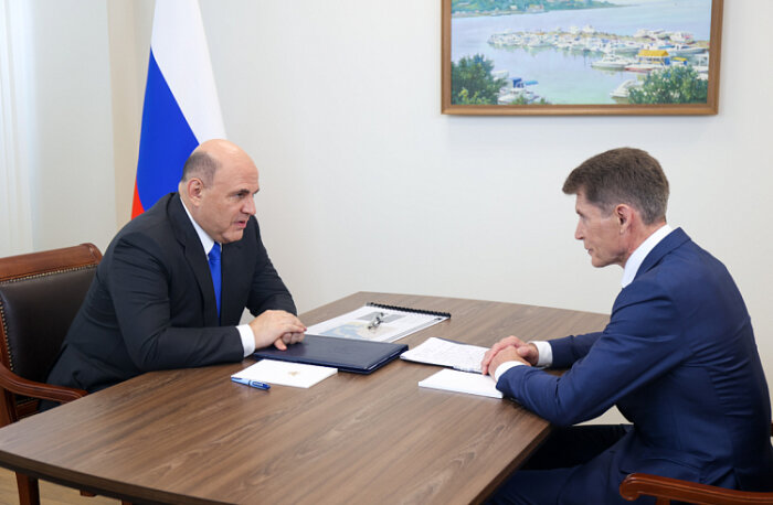 Фото: правительство Приморья. Михаил Мишустин провел встречу с Олегом Кожемяко