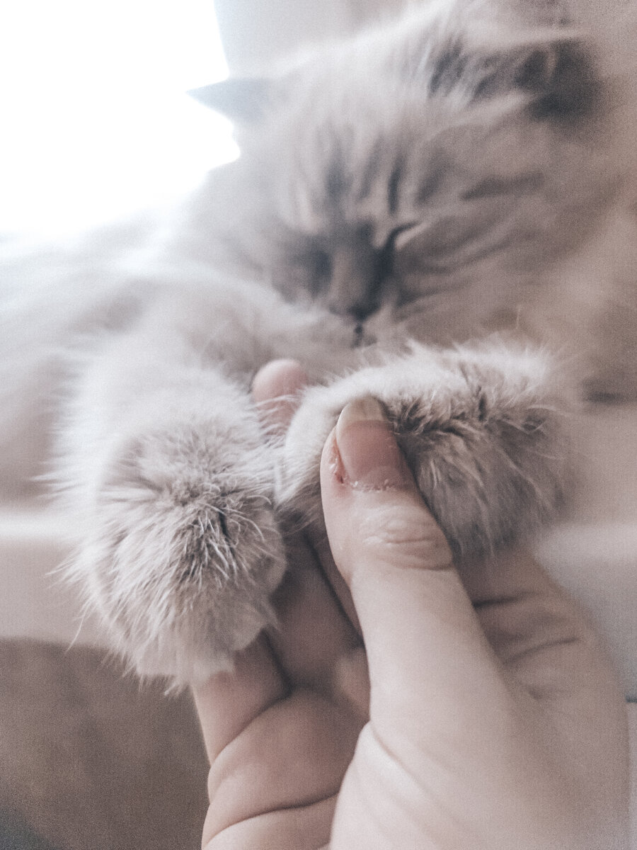 Фотография принадлежит EleNaumenko (то есть мне) 