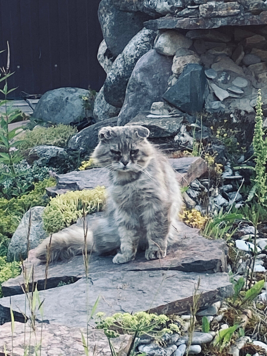 Мышка, это ты что-ли меня зовешь?