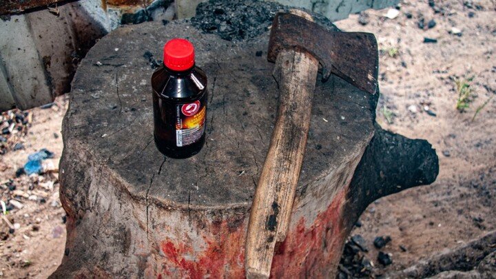 SVETLANA VOZMILOVA/GLOBALLOOKPRESS