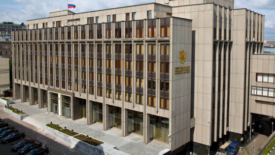    Комитет СФ поддержал закон о запрете выезда за границу с момента вручения повестки Алина Городниченко