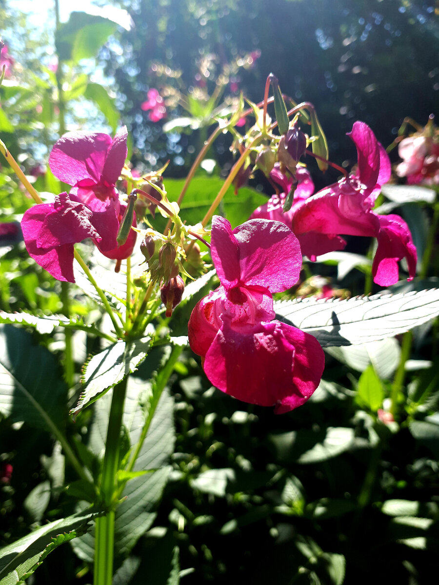 Источник: фотографии автора