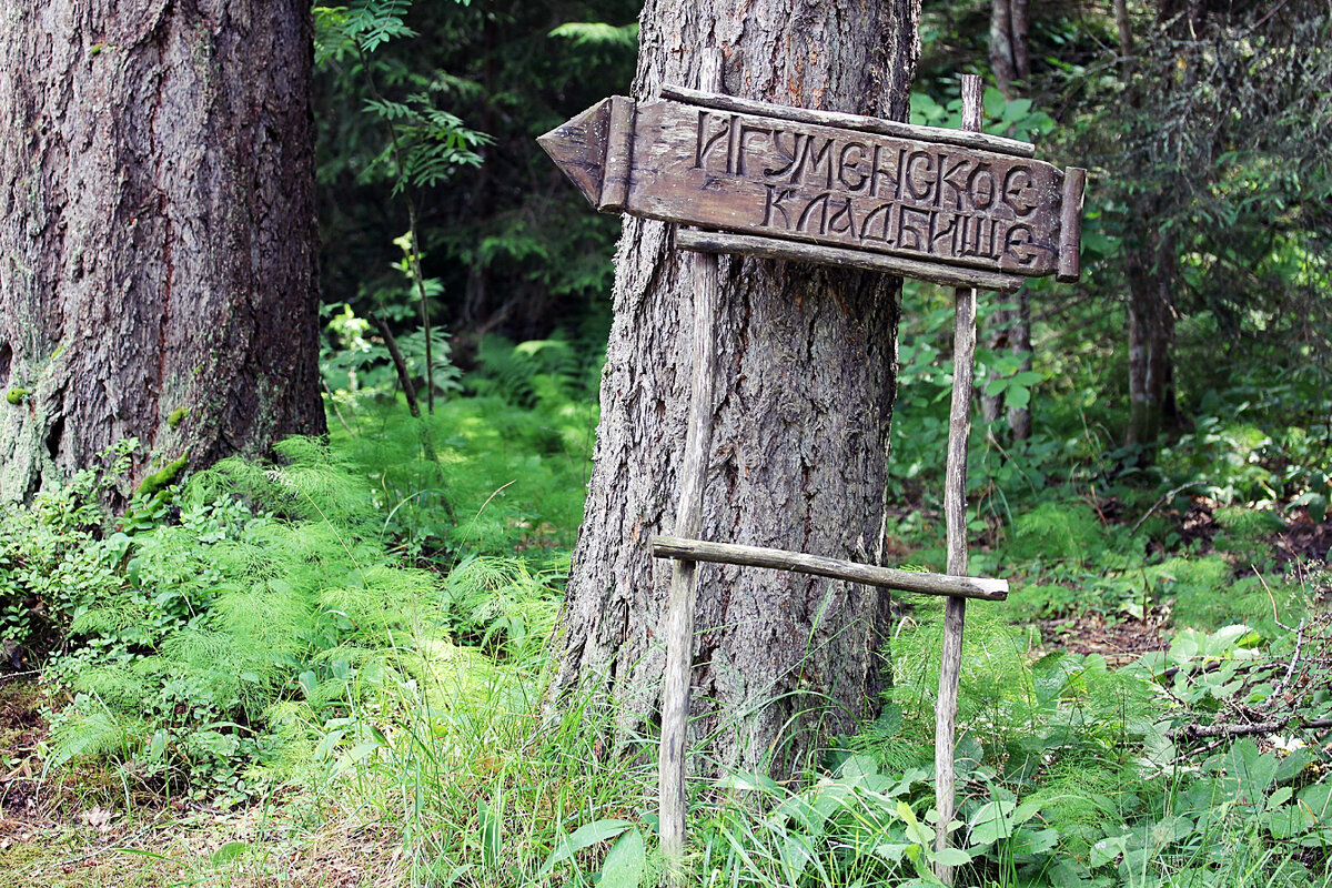 Указатель у дороги