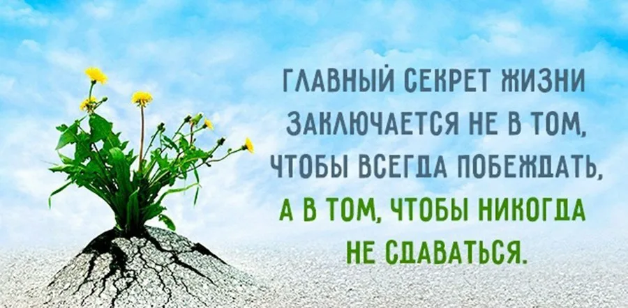 Добрый день главное в жизни. Позитивные Мотивирующие высказывания. Позитивные цитаты. Жизнь и мысли. Интересные фразы.