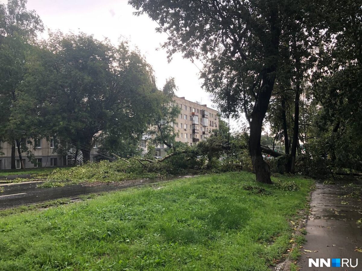 Последствия урагана 