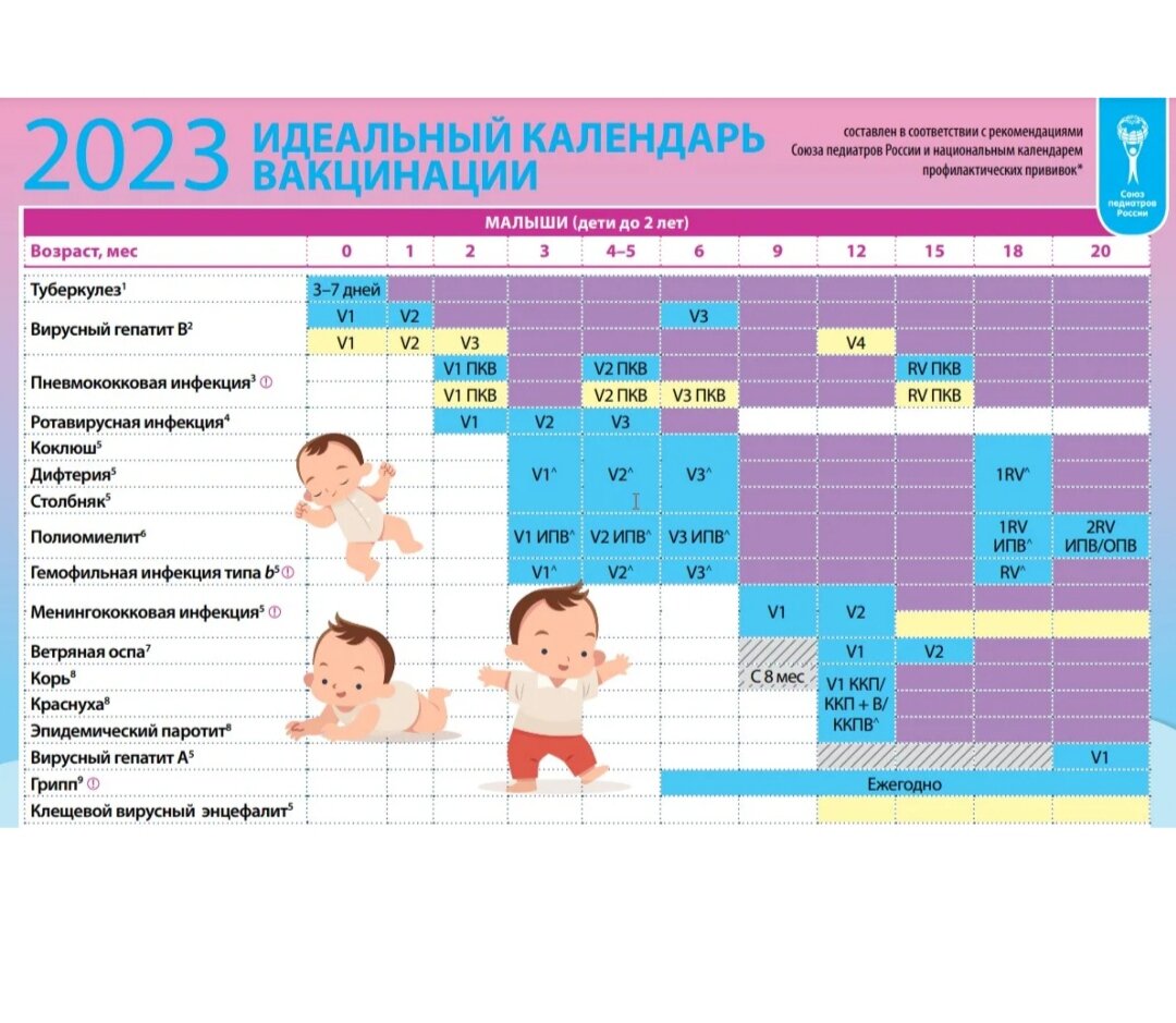 Прививки в роддоме новорожденным 2024