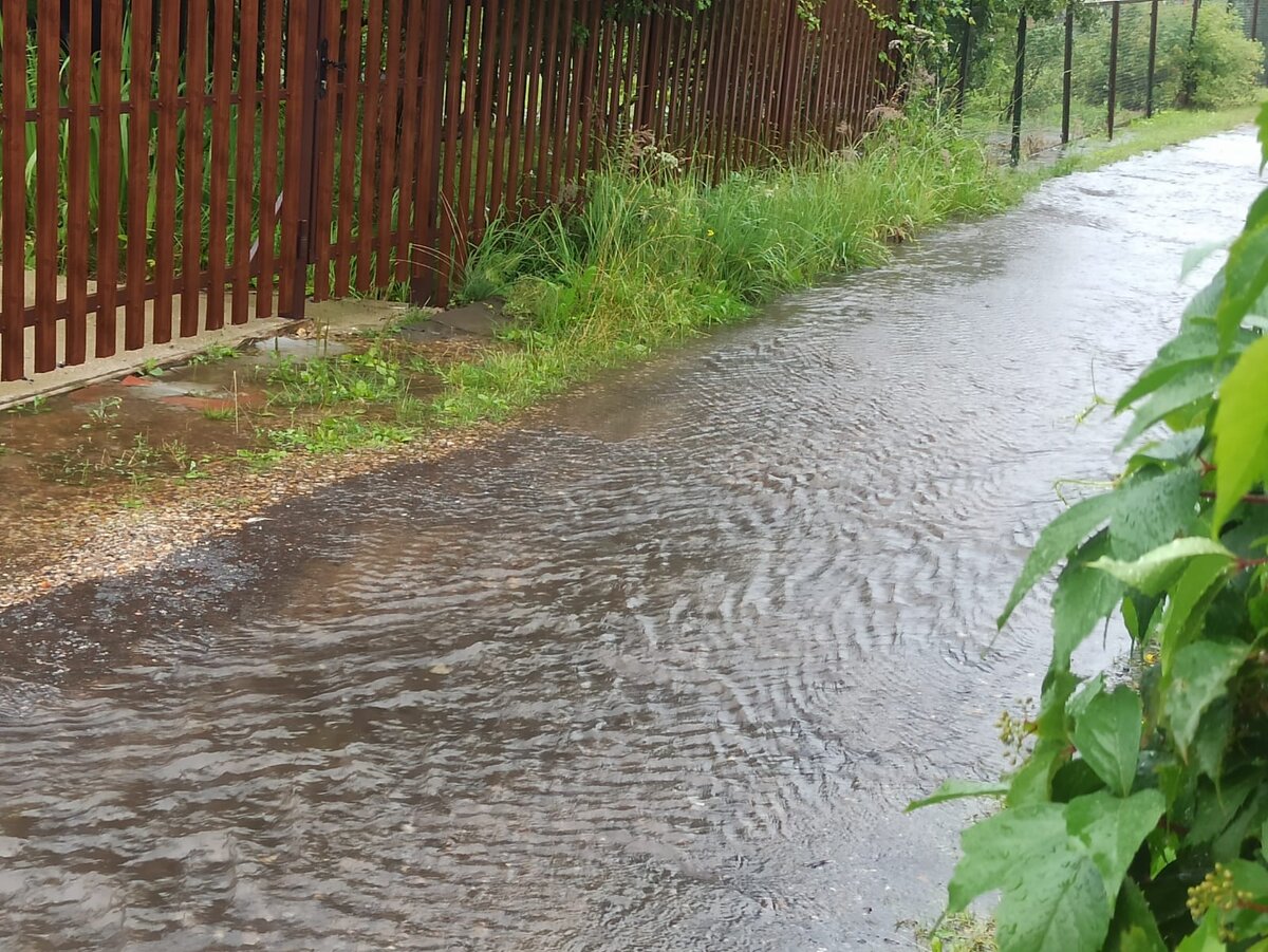 Фото автора.