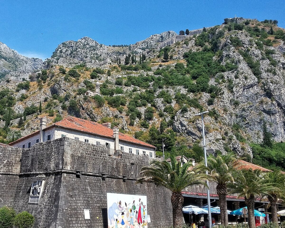 У городской стены Котора