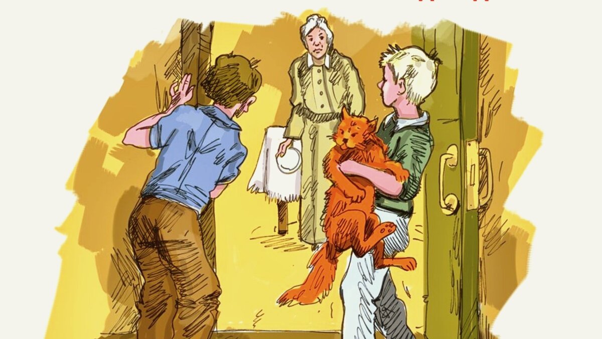 Фото из открытых источников