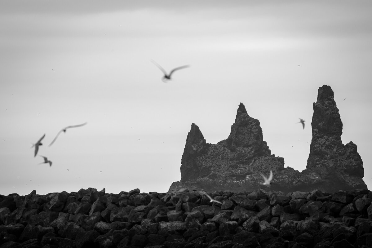 Фото с бесплатного фотоистока https://unsplash.com, автор Joss Broward