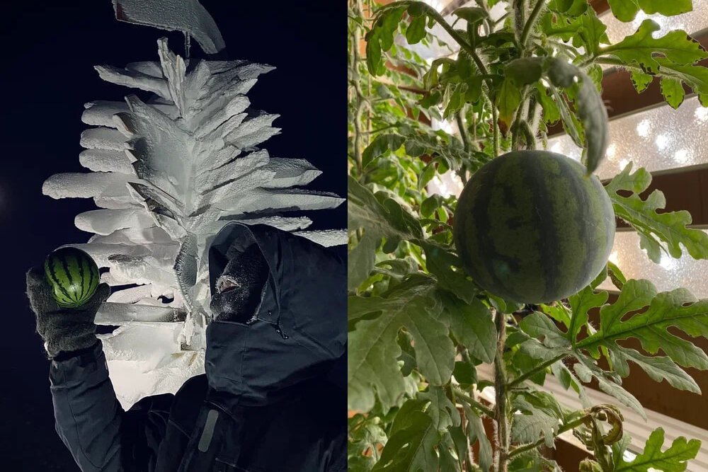     Фото: Андрей Тепляков, Иван Сергеев, ААНИИ