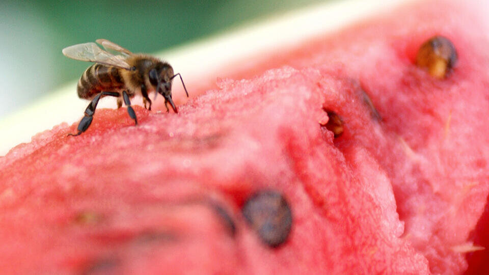 Фото: © ТАСС/Рюмин Александр