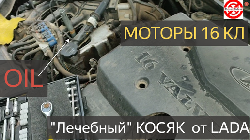 Фиксируем стоимость на замену ремня ГРМ под ключ для а/м LADA.