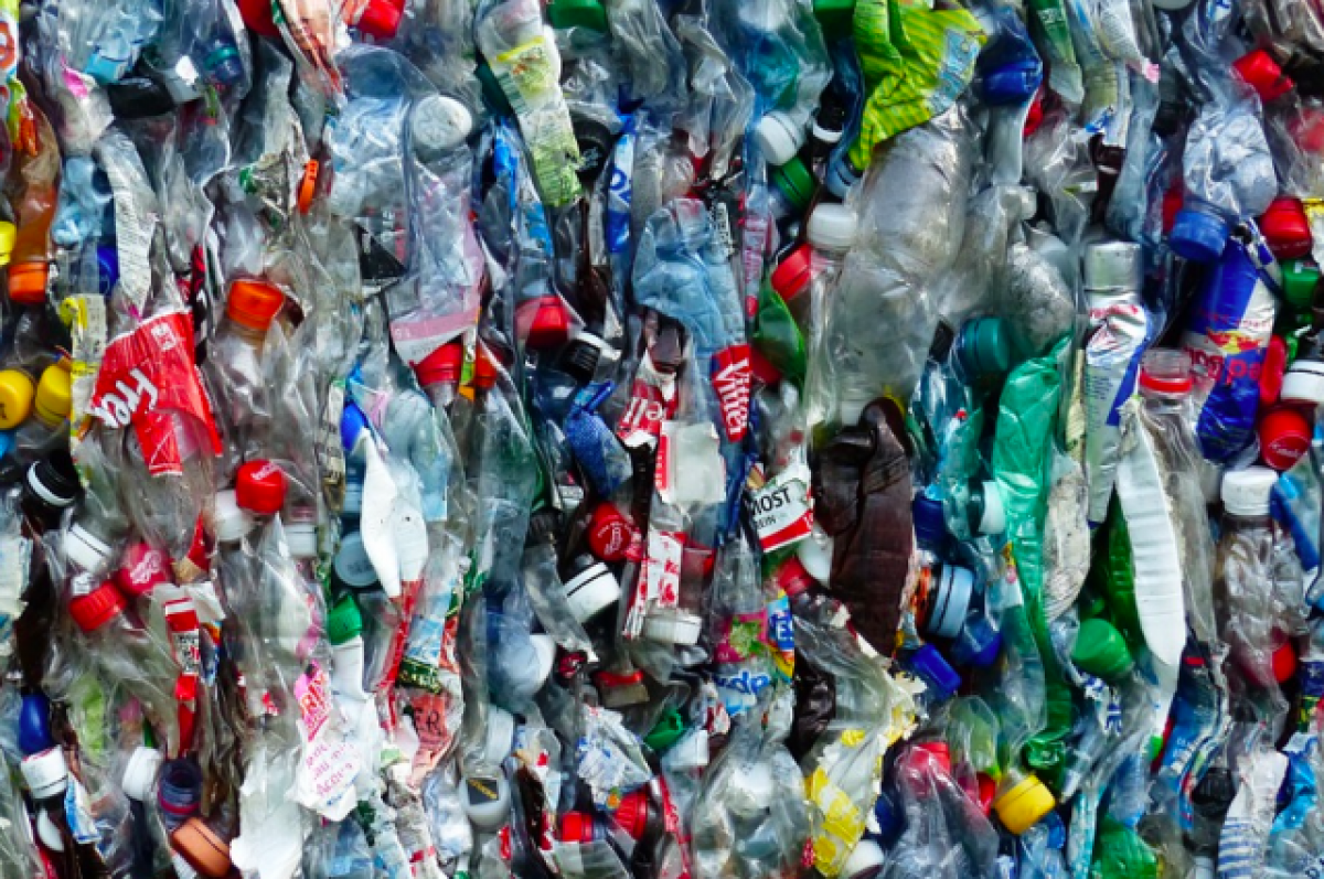    Под Новосибирском вывезли 2 тысячи тонн отходов со свалки