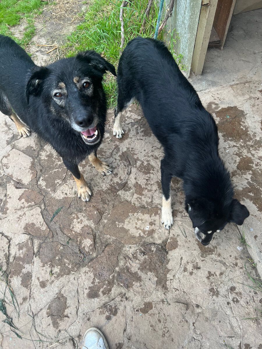 Арчик в июле был улыбака. Посмотрим, что будет в августе!