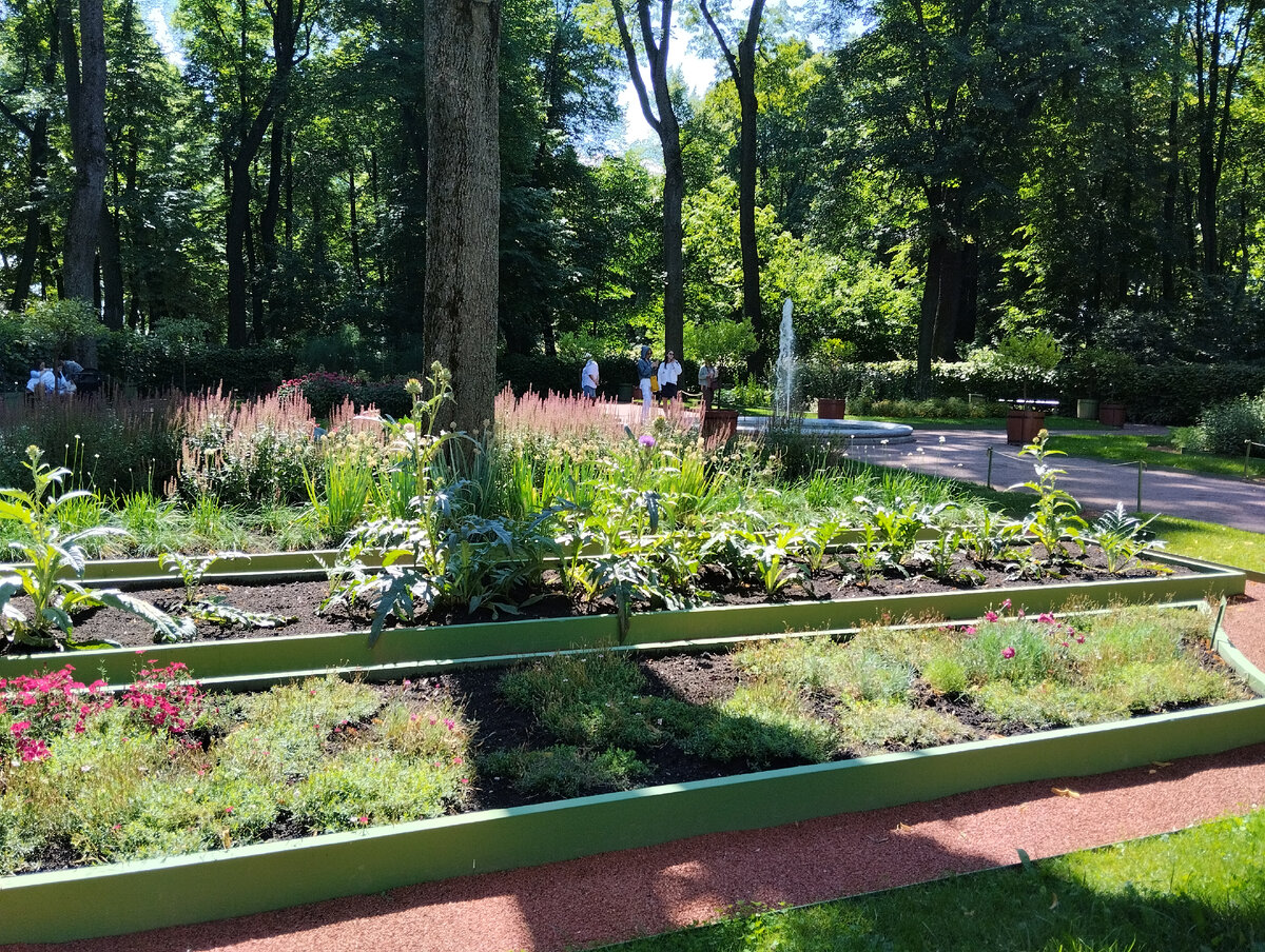 Грядки деревянные, длинные, около 5 м, шириной примерно в 1 м