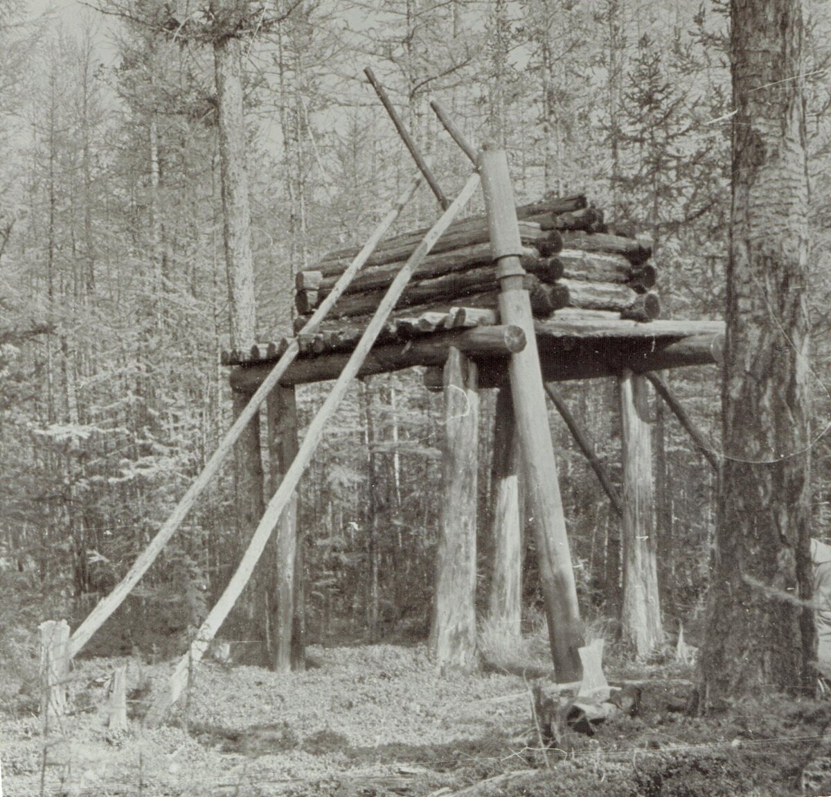 Арангас, 1886 г.