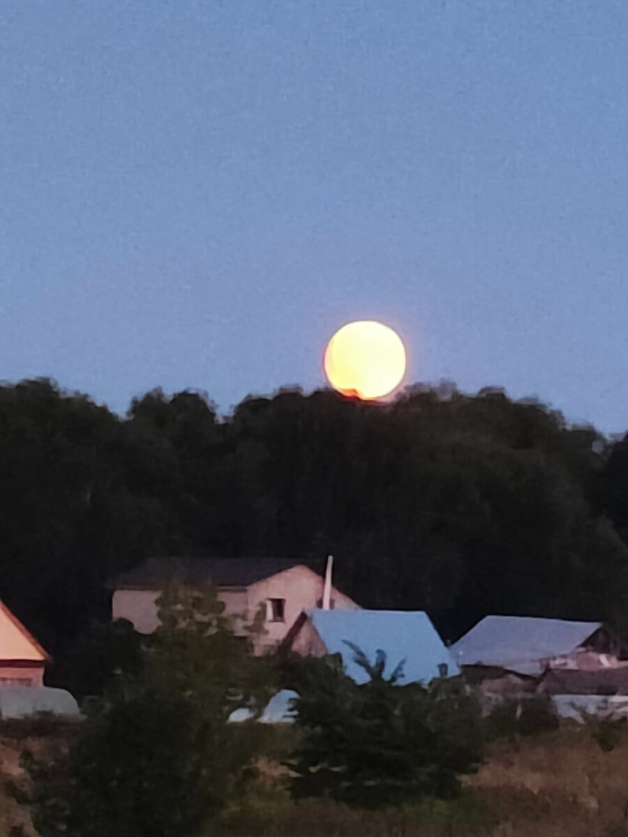 Всем тем, кто ложится спать...