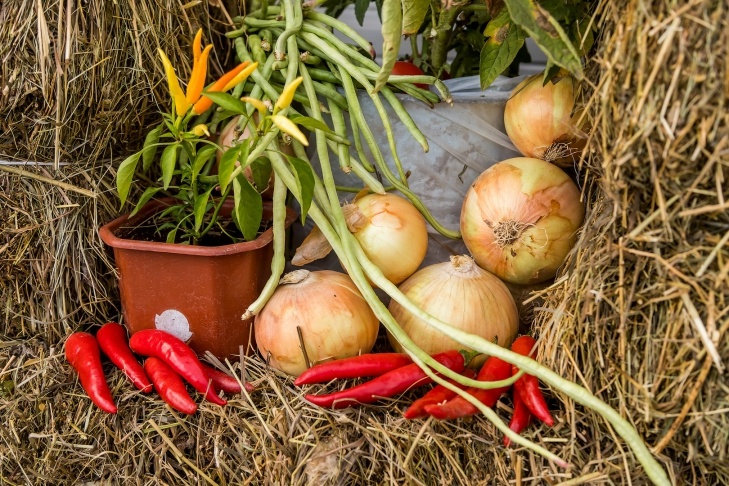    Фото Андрея Заржецкого
