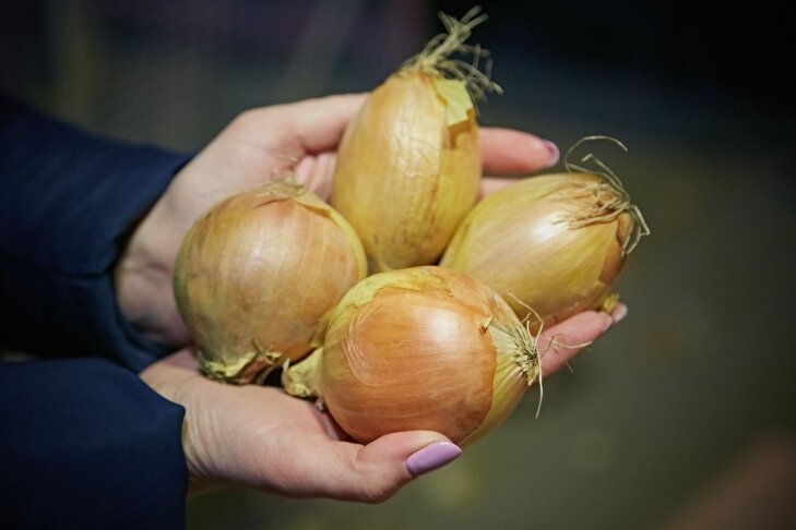 Фото Андрея Заржецкого📷
