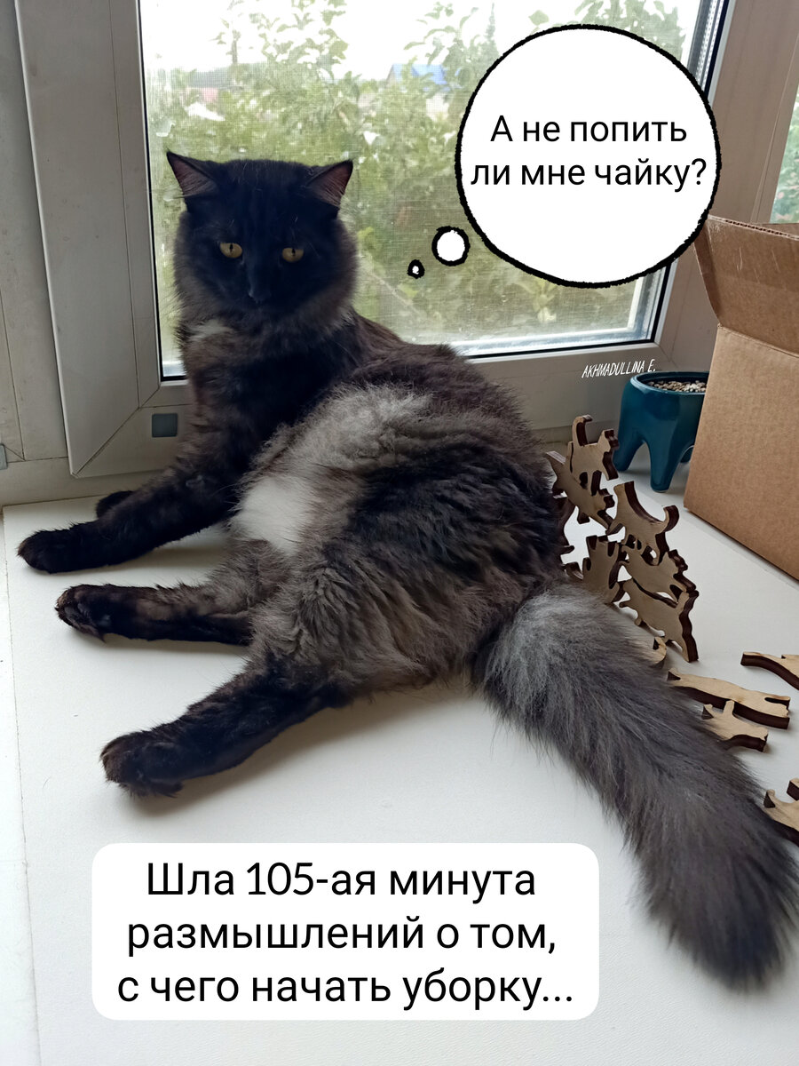 Степан знает толк в уборке