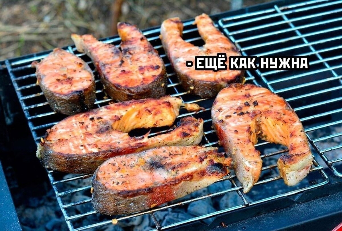 Самые свежие рецепты для Вас!