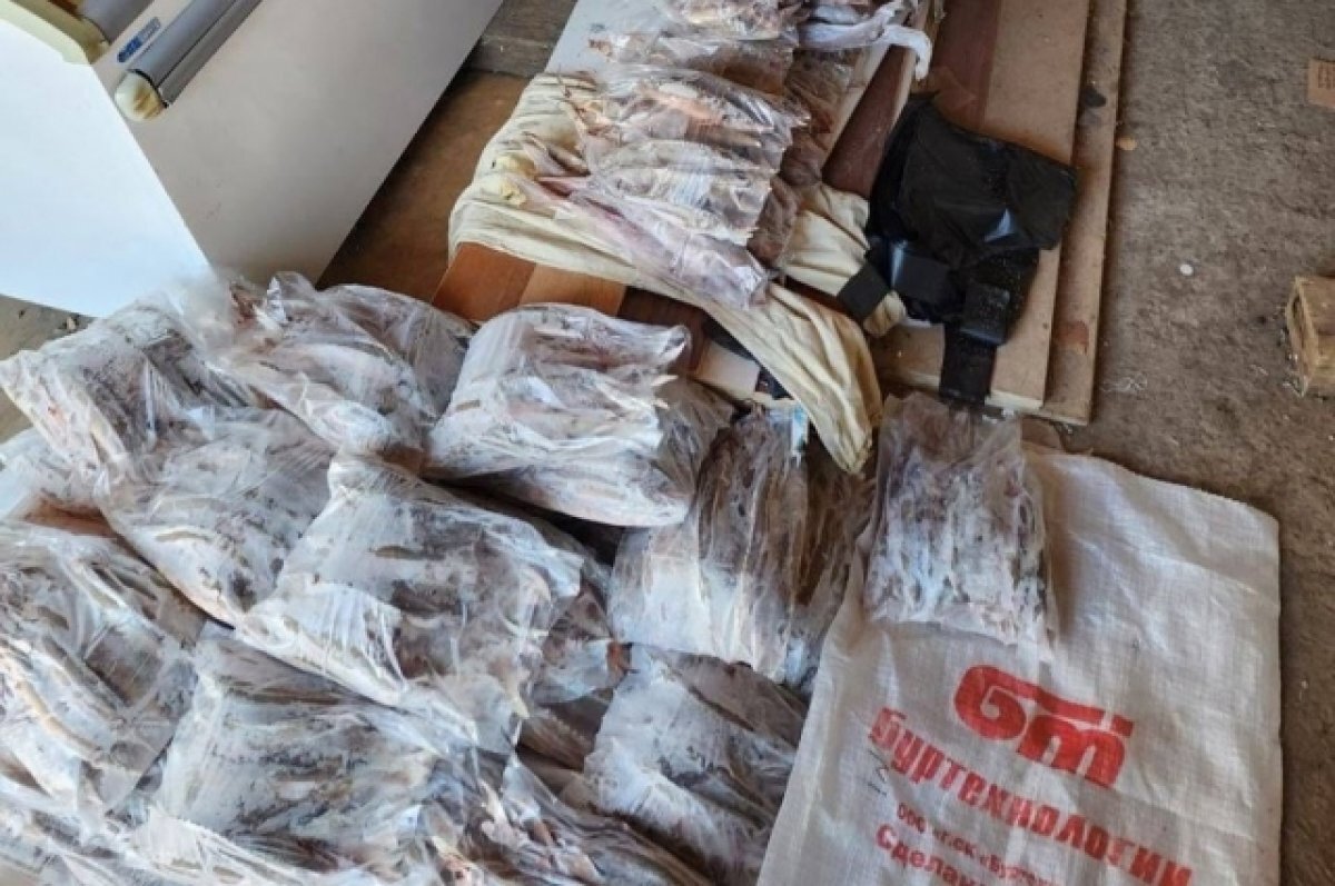    В Тюменской области у браконьеров изъяли более 600 кг ценной рыбы