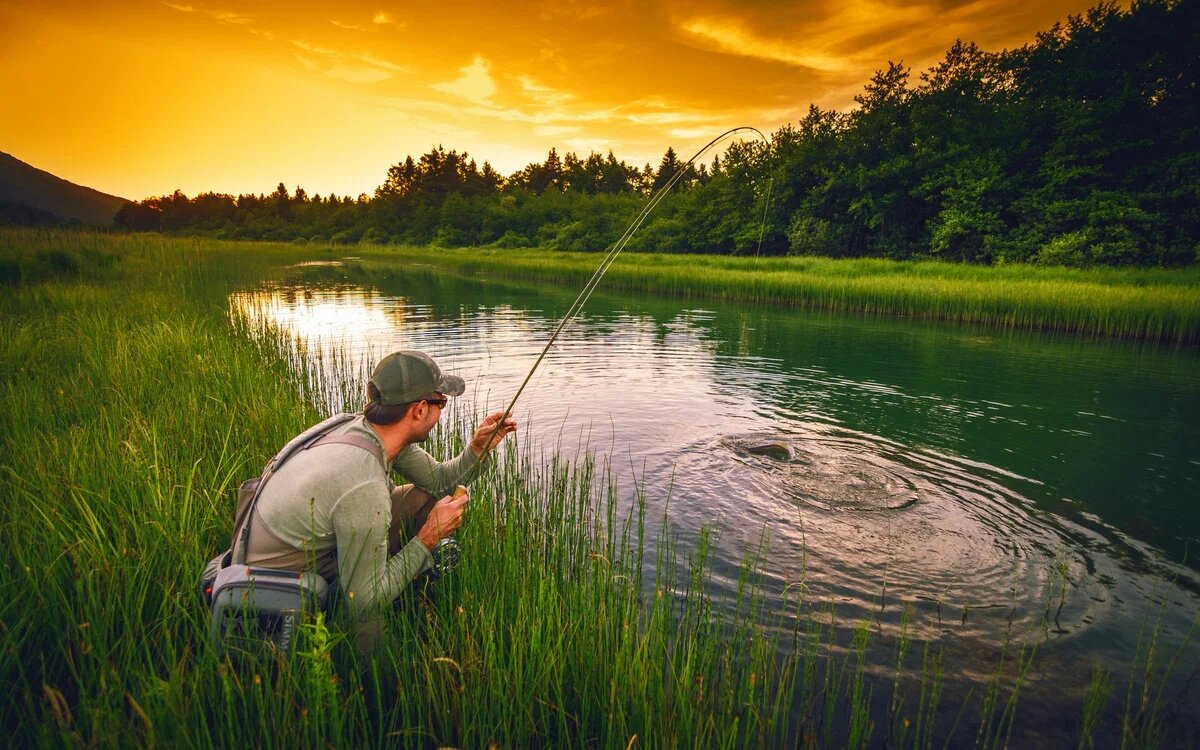 картинка с интернета