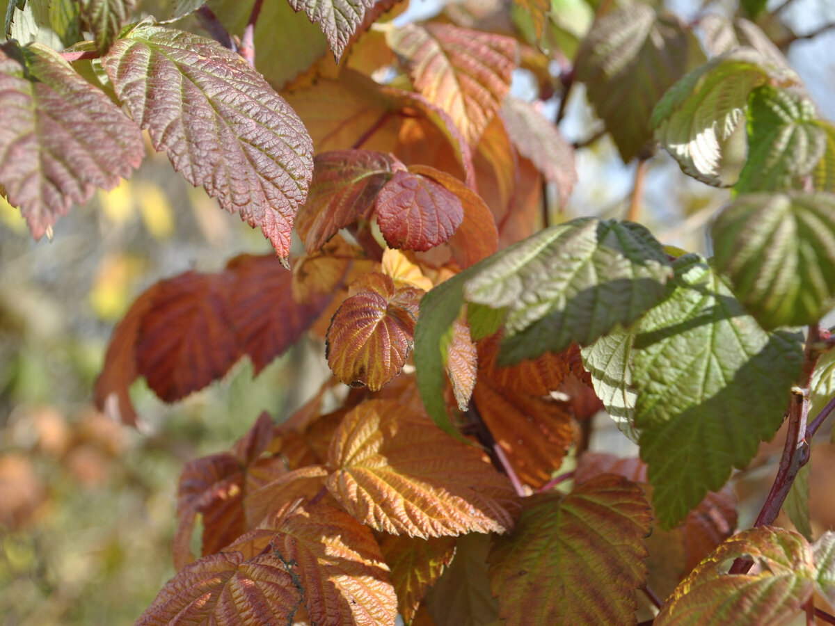 Фото: shutterstock.com