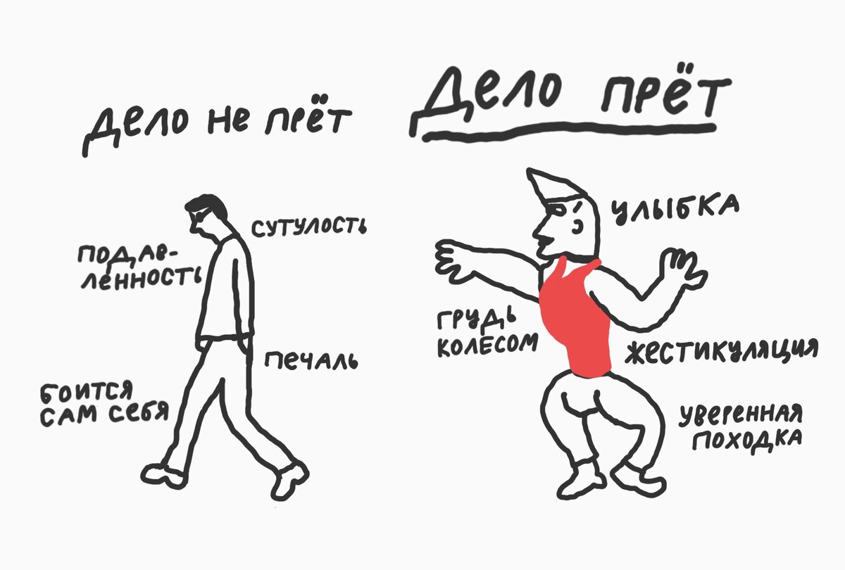 Пер что это значит. Bro Split. Бро сплит.