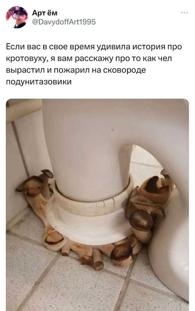 Натур продукт