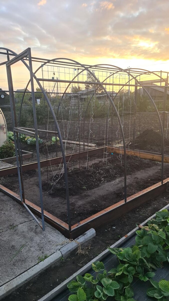 Теплица на новом брусе. 