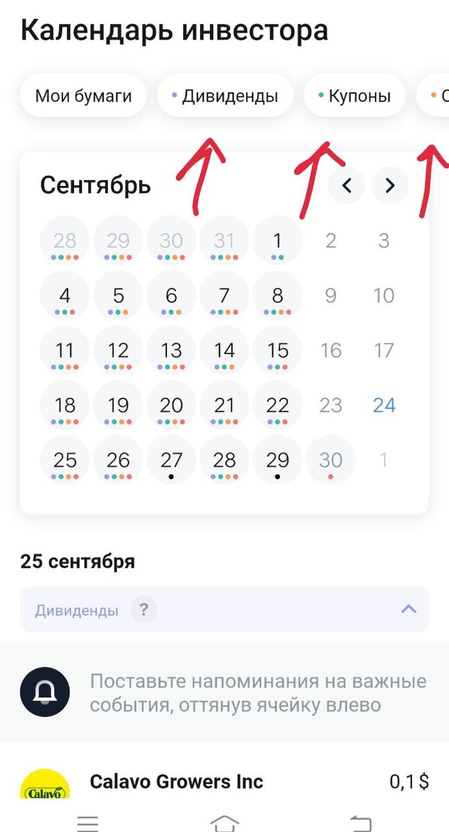 Можно нажать на плашки и выбрать, что интересует: дивиденды, купоны, отчеты.