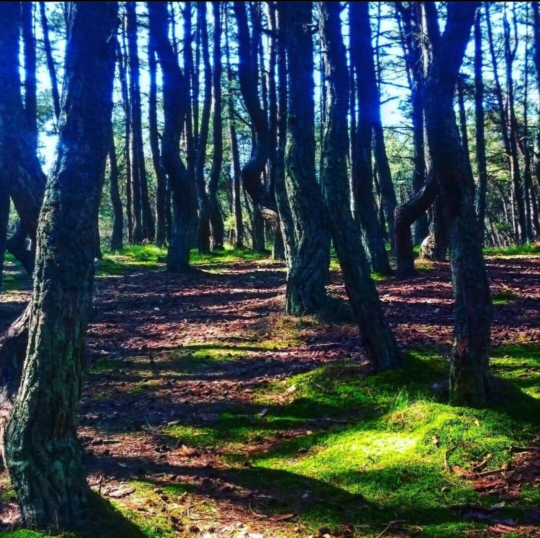 Фото из личного архива 