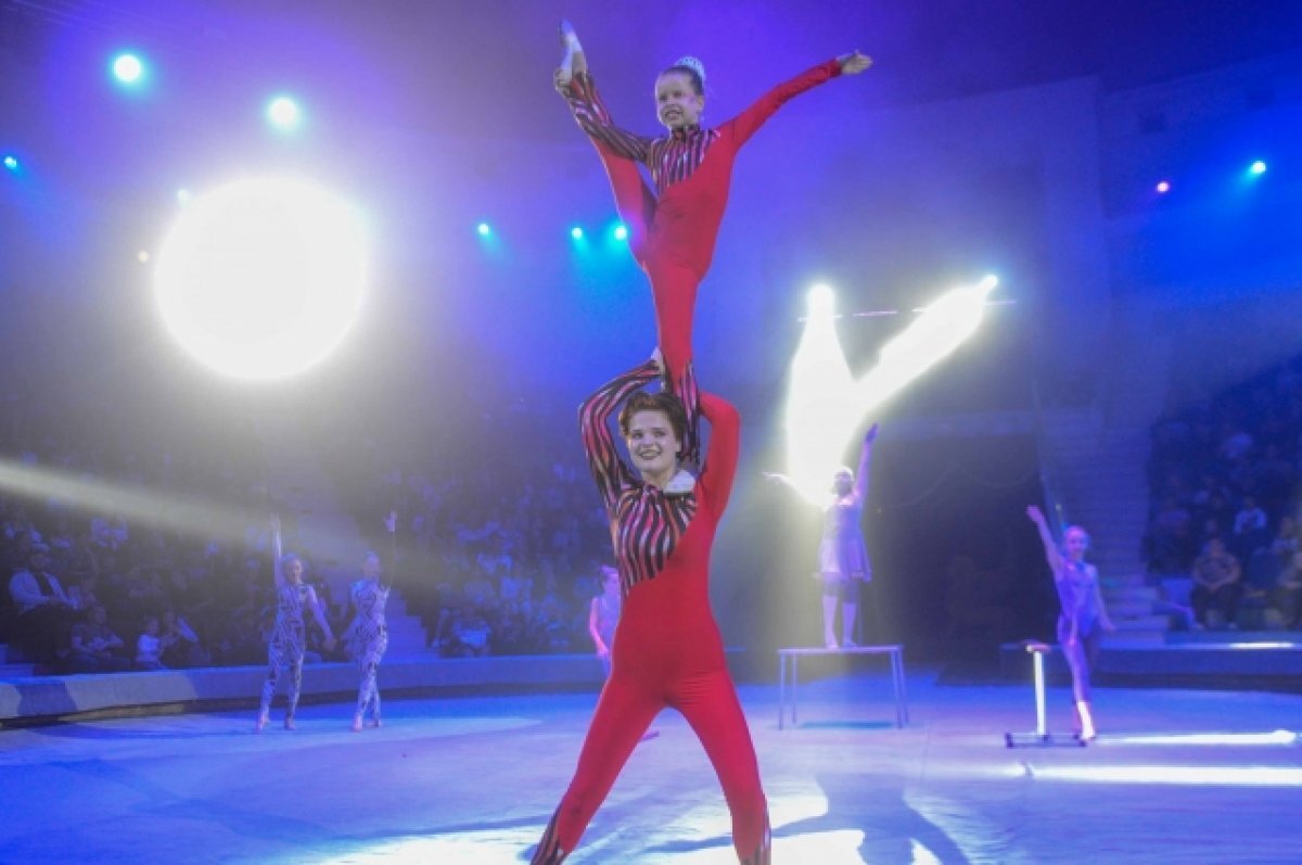    В Саратовской области пройдет фестиваль любительского цирка «ВолгаЦиркФест»