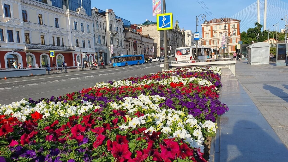     Во Владивостоке в третий раз прошёл форум «Приморье за здоровье». Медики со всего Приморья съехались в краевой центр, чтобы обсудить вопросы здорового образа жизни и улучшения качества медицинского обслуживания приморцев.