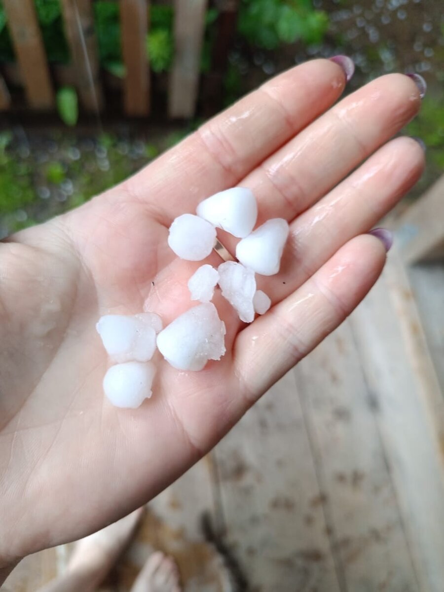    Фото: Галина Борзенкова / vk.com Григорий Орлов