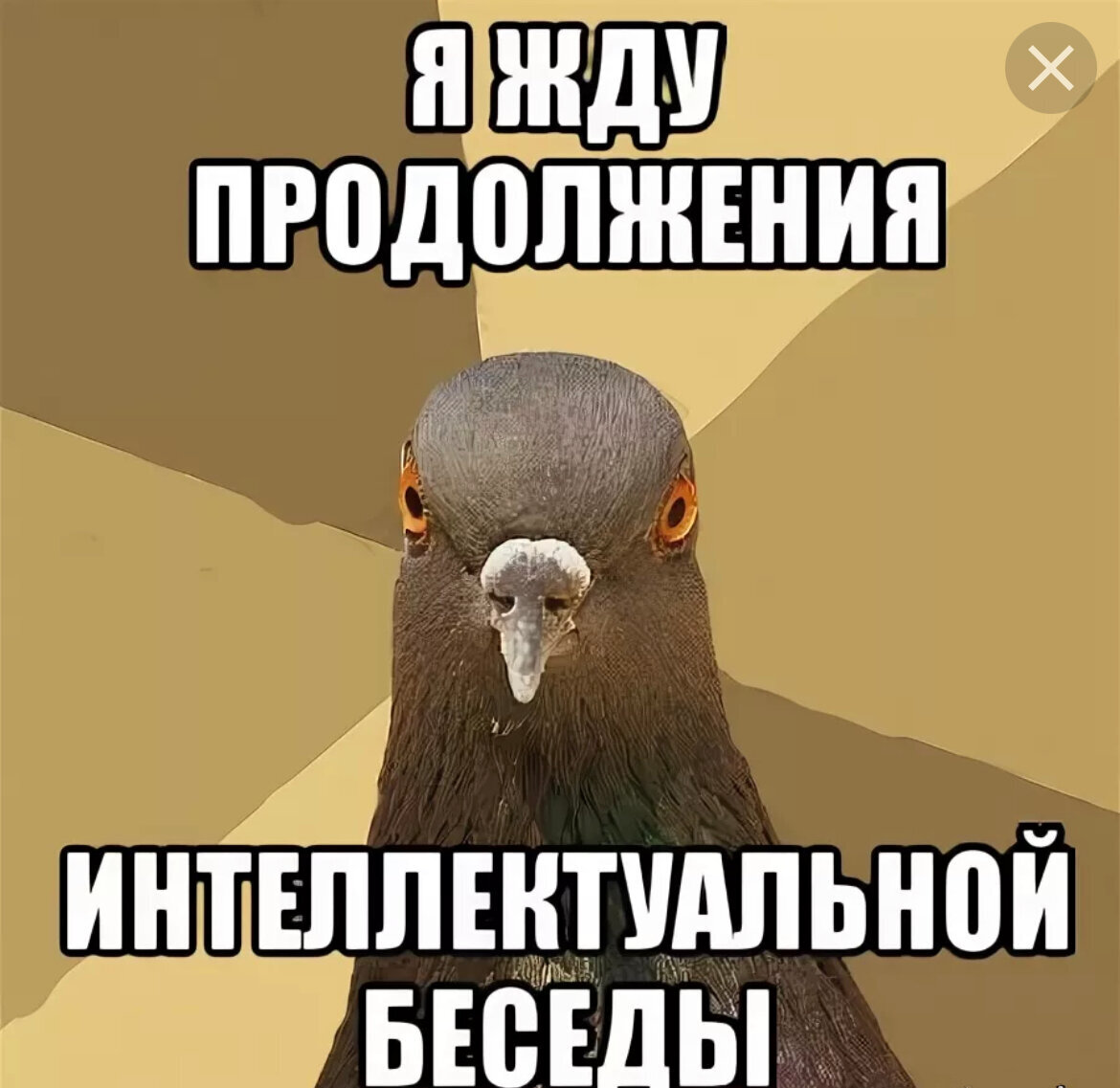 Яндекс.Картинки.