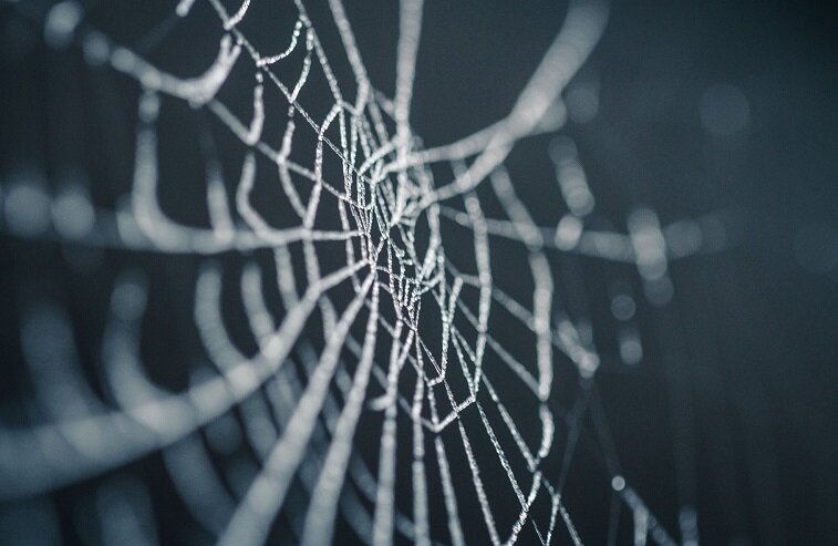 картинка из открытого доступа.