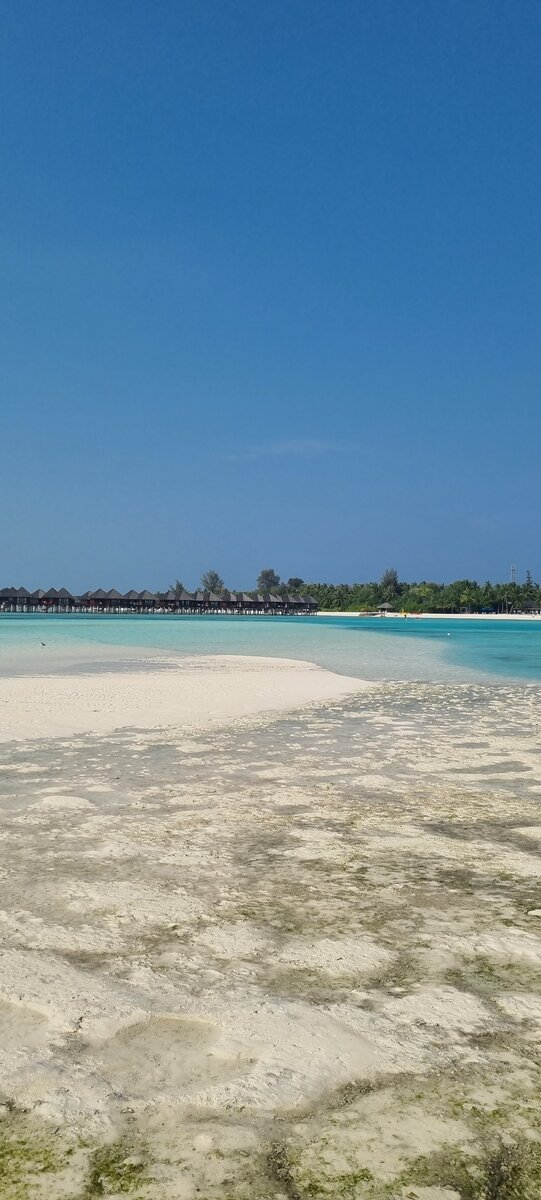 Из личного архива где-то на Мальдивах,  резорт Sun Siyam Olhuveli 