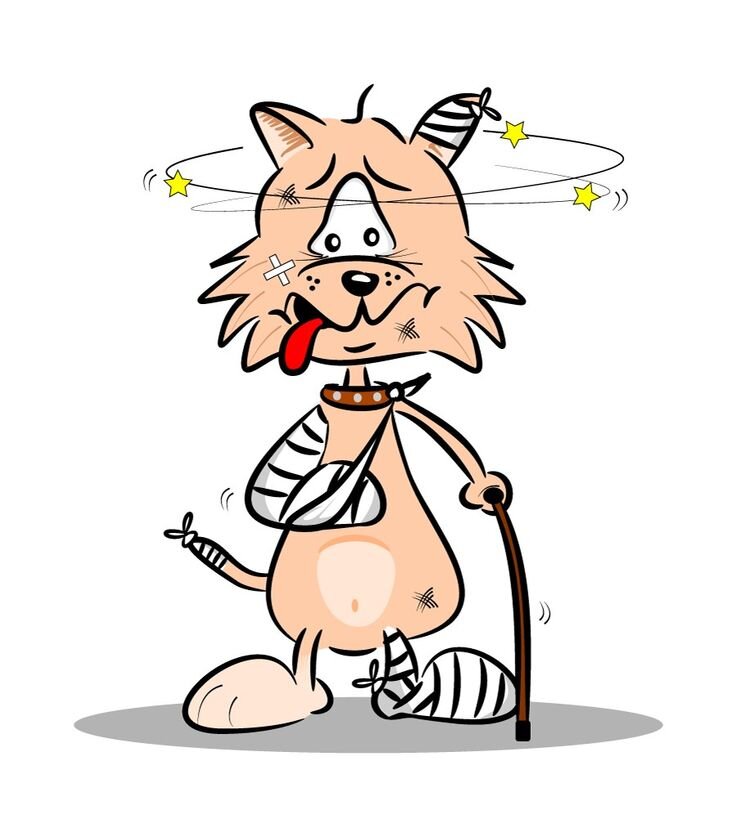 картинка из интернета