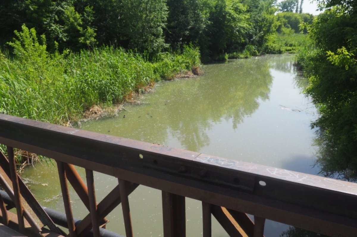    В водоёмах Ростовской области обнаружены холероподобные бактерии