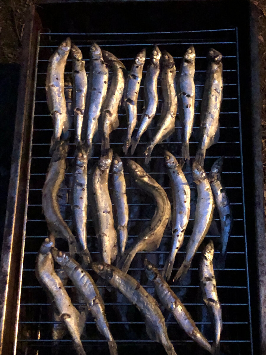 Мойва в коптильне